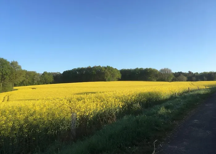 La Rame Oda ve Kahvaltı